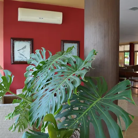 Apartament Bratanov Sunny Dreams Sunny Beach